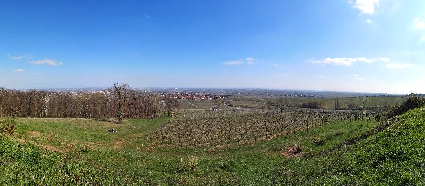 Pfalz.jpg